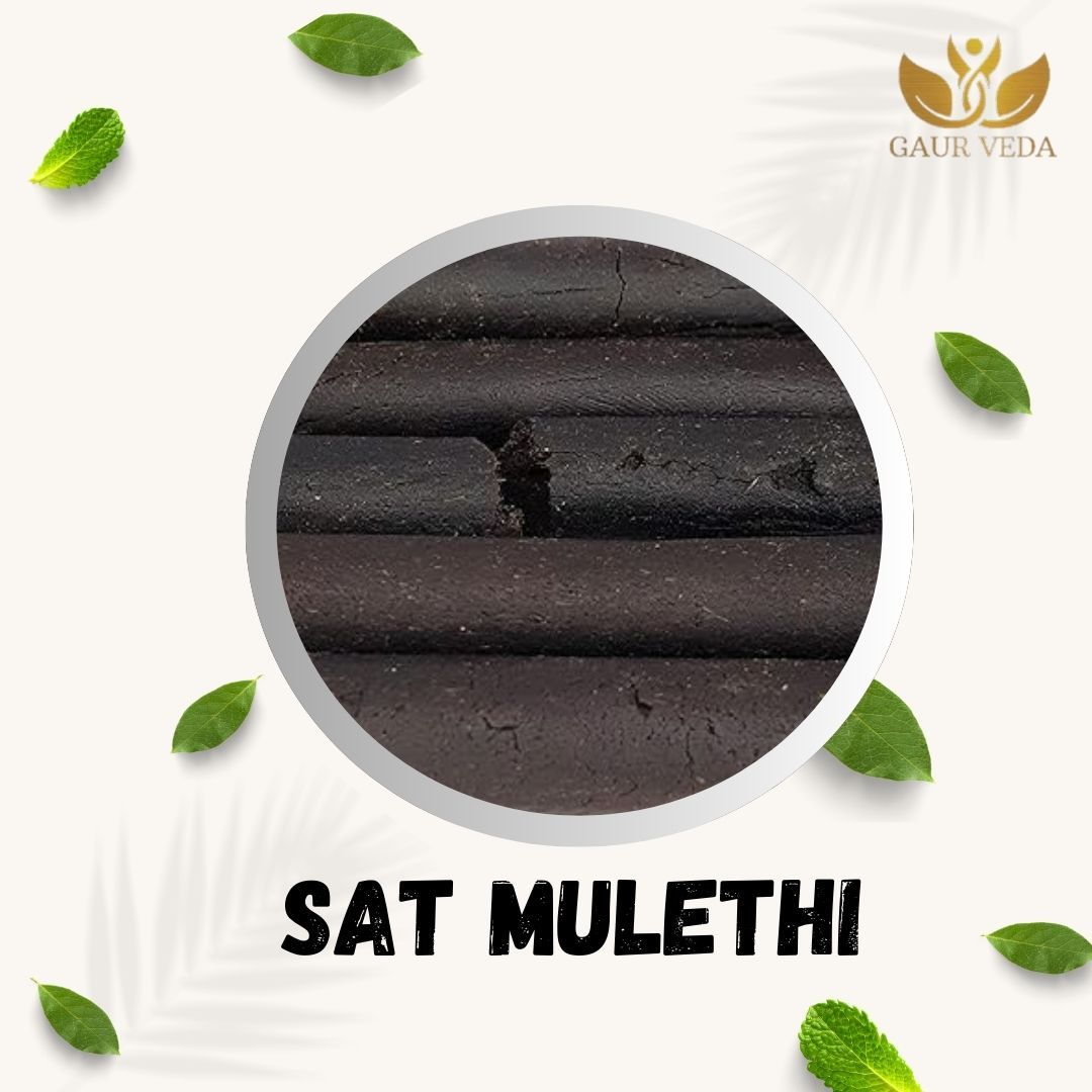 GAURVEDA Sat mulethi 100% Natural & Pure | Traditional Ayurvedic Herb/Seed/Powder | Supports Wellness & Daily Health | Ideal for Herbal Remedies, 11 Grams