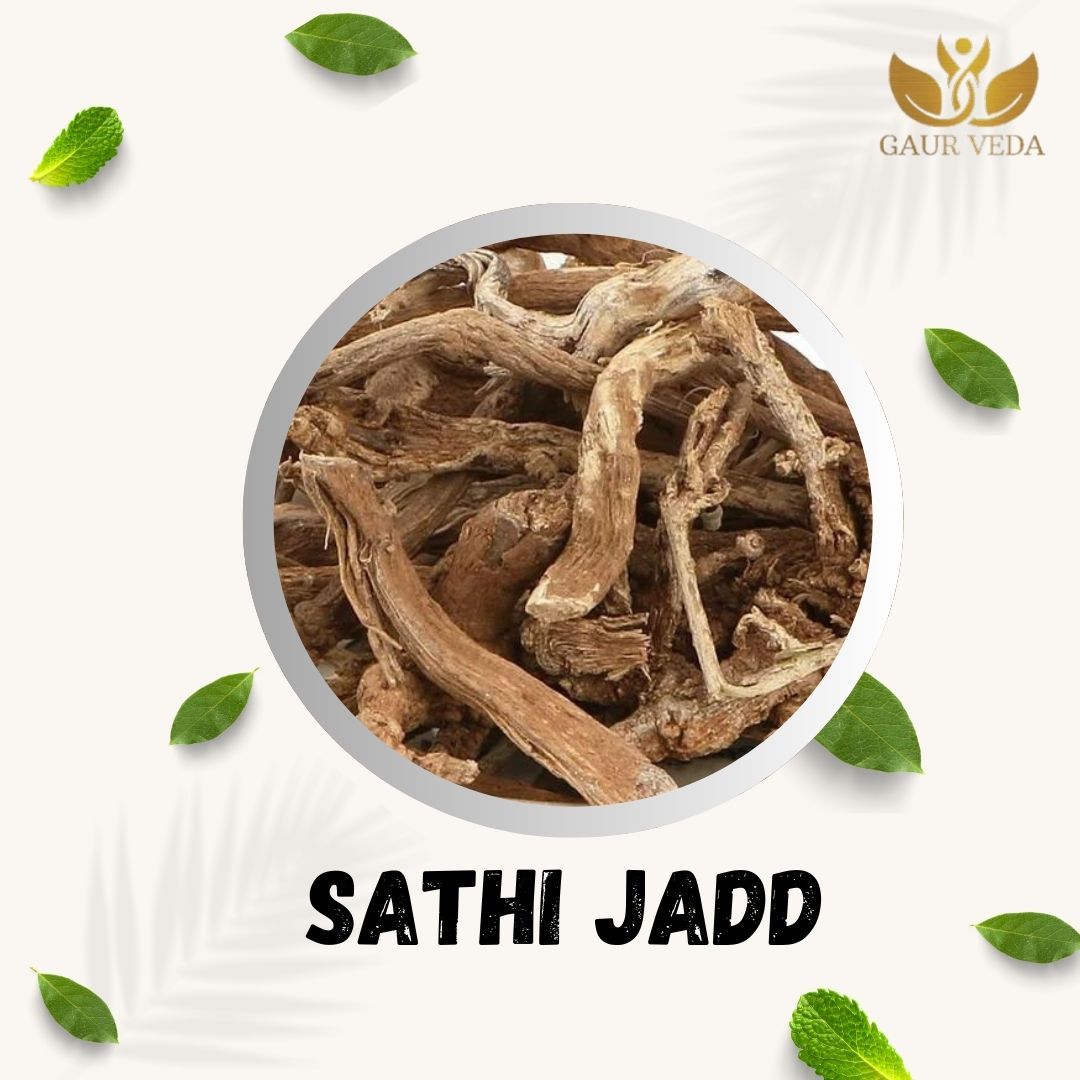 GAURVEDA Punarnava 100% Natural & Pure | Traditional Ayurvedic Herb/Seed/Powder | Supports Wellness & Daily Health | Ideal for Herbal Remedies, 100 Grams