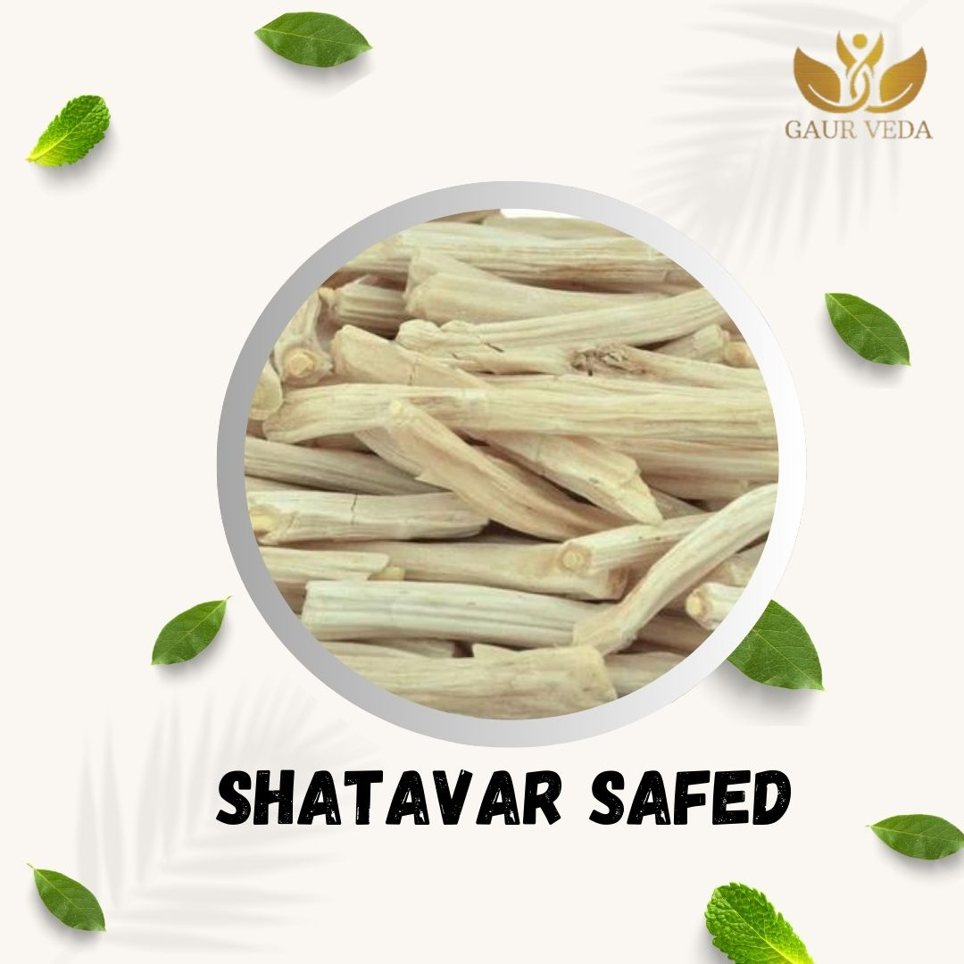 GAURVEDA Shatavar safed 100% Natural & Pure | Traditional Ayurvedic Herb/Seed/Powder | Supports Wellness & Daily Health | Ideal for Herbal Remedies, 100 Grams