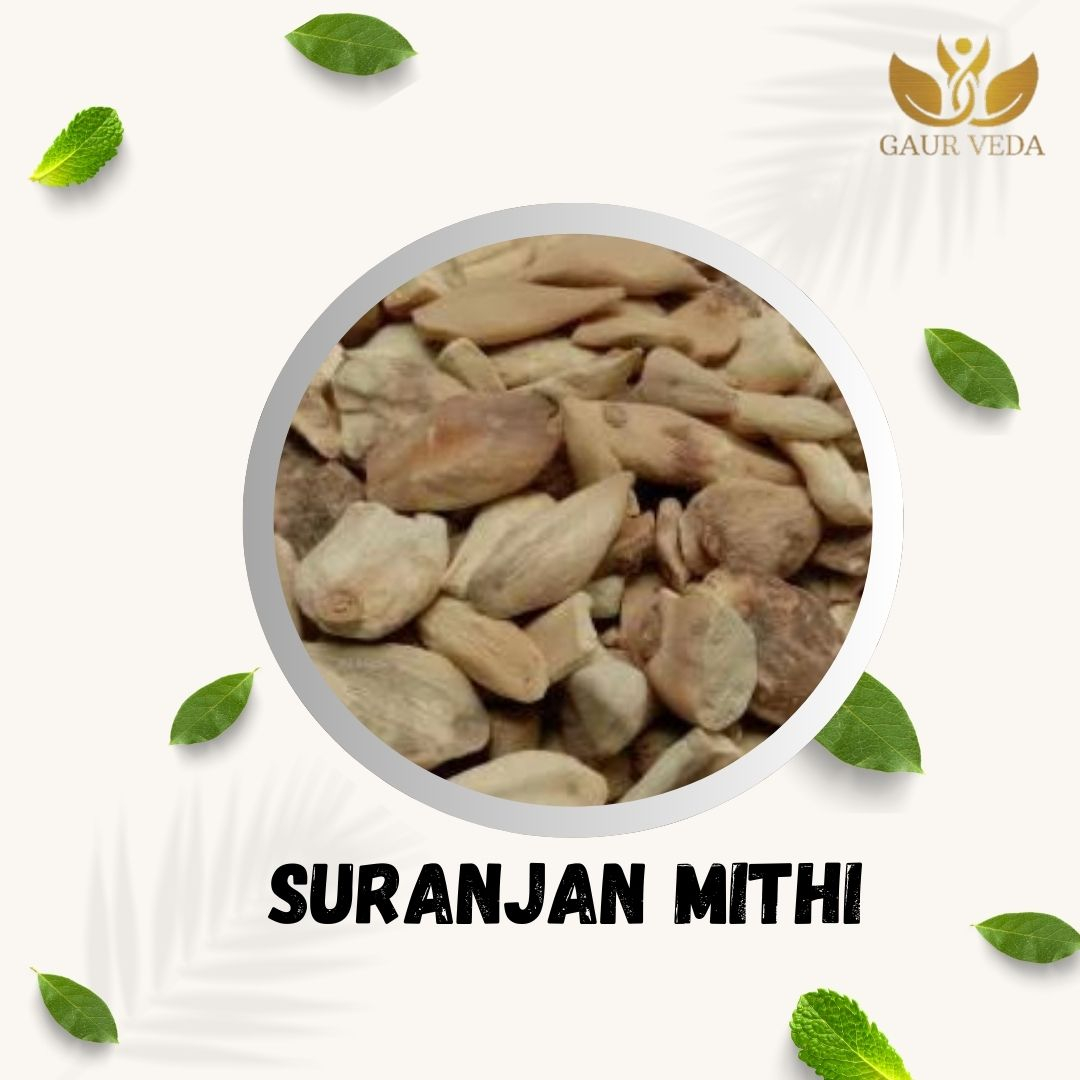 GAURVEDA Suranjan meethi 100% Natural & Pure | Traditional Ayurvedic Herb/Seed/Powder | Supports Wellness & Daily Health | Ideal for Herbal Remedies, 100 Grams{242