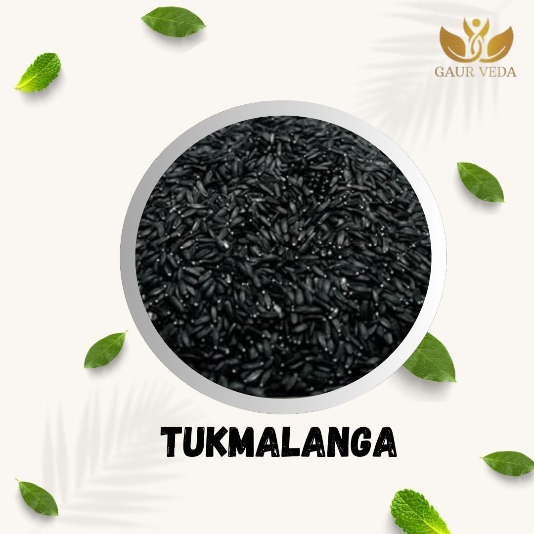 GAURVEDA Sabja beej 100% Natural & Pure | Traditional Ayurvedic Herb/Seed/Powder | Supports Wellness & Daily Health | Ideal for Herbal Remedies, 100 Grams