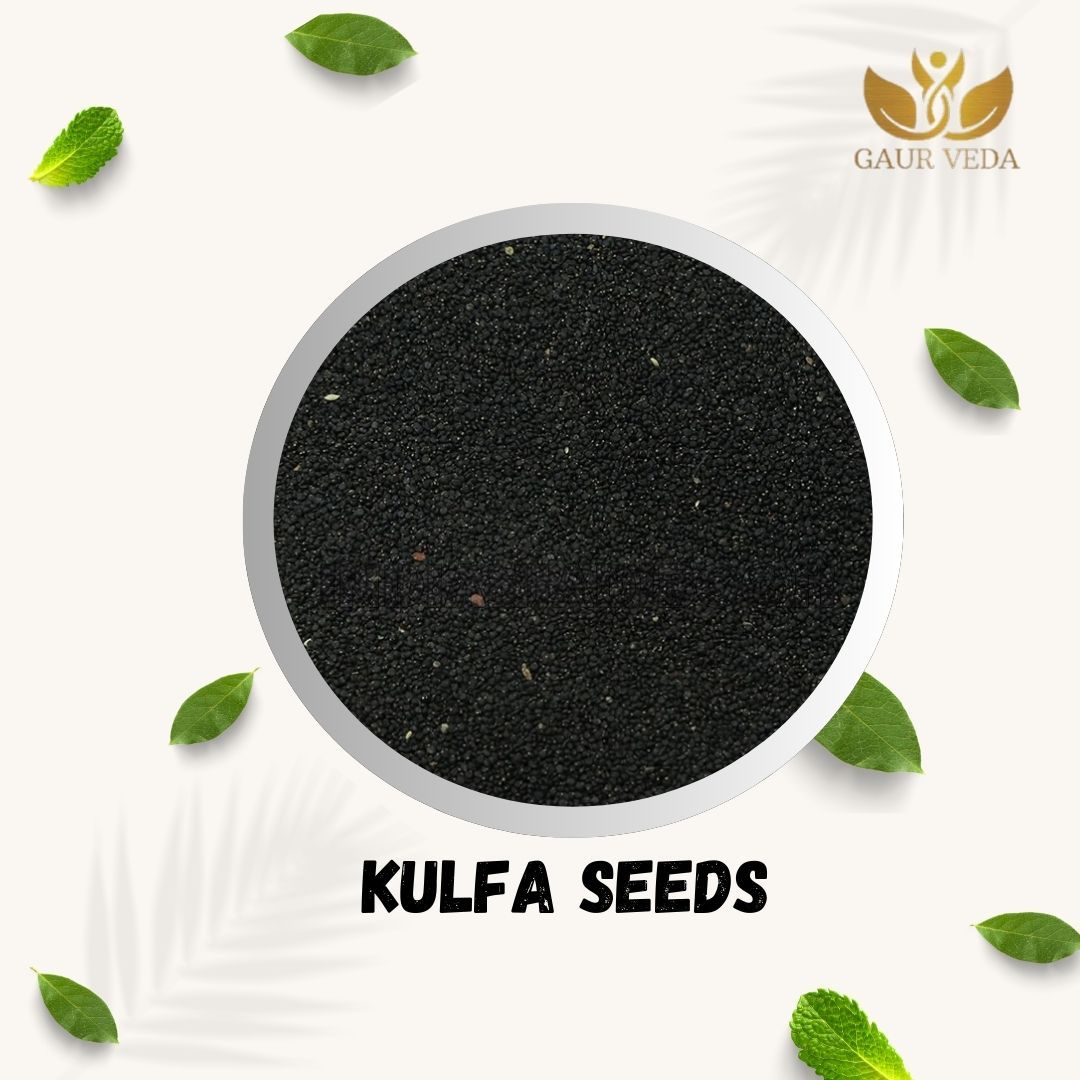 GAURVEDA Kulfa Seeds (Purslane Seeds) - Nutrient-Rich Superfood for Health & Wellness | Fresh, Natural & ??? | 100 Grams