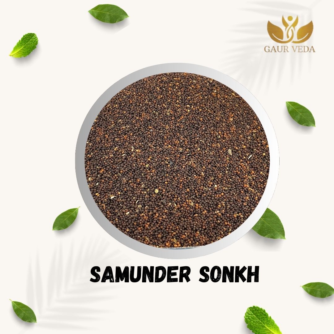 GAURVEDA Samunder Sonkh - Authentic Seaweed | Natural Superfood Supplement | Nutrient-Rich Marine Vegetable for Overall Wellness & Vitality | 100 Grams