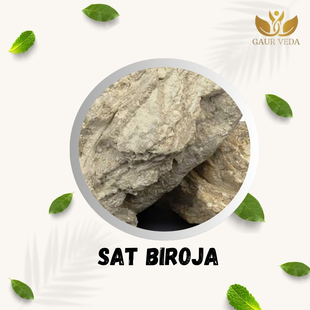 GAURVEDA Sat biroja 100% Natural & Pure | Traditional Ayurvedic Herb/Seed/Powder | Supports Wellness & Daily Health | Ideal for Herbal Remedies, 100 Grams