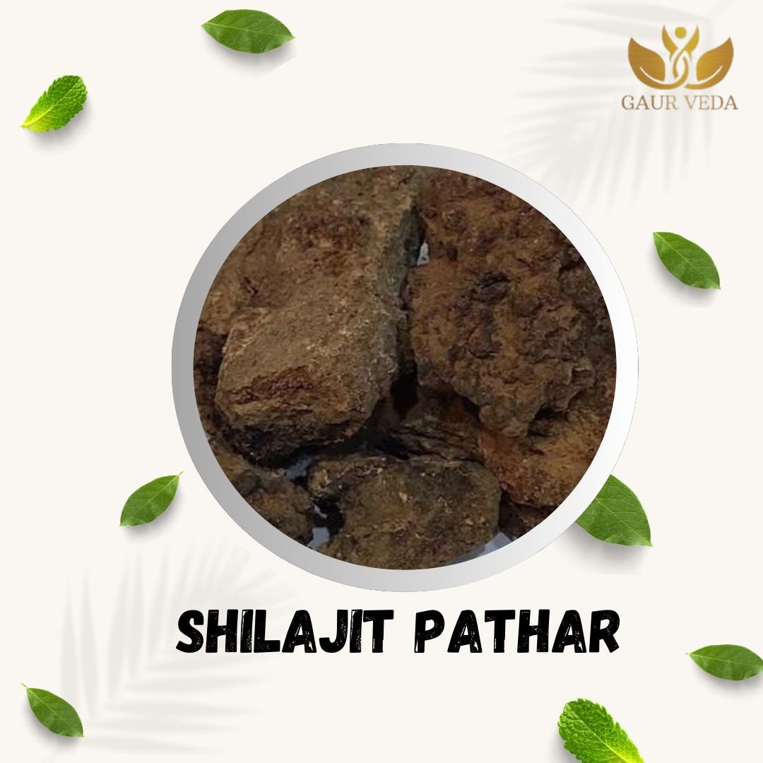 GAURVEDA Shilajit pathar 100% Natural & Pure | Traditional Ayurvedic Herb/Seed/Powder | Supports Wellness & Daily Health | Ideal for Herbal Remedies, 100 Grams