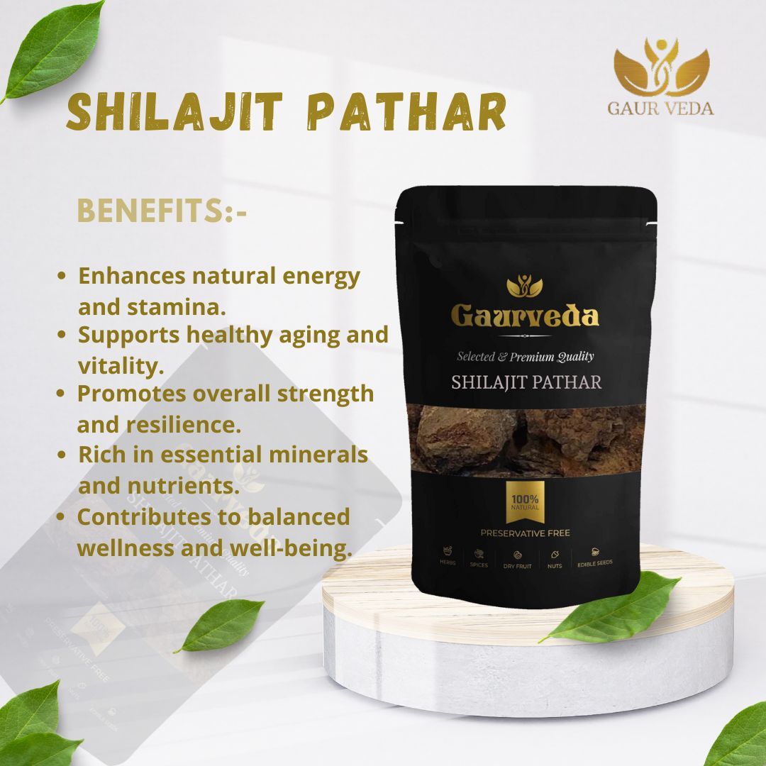 GAURVEDA Shilajit pathar 100% Natural & Pure | Traditional Ayurvedic Herb/Seed/Powder | Supports Wellness & Daily Health | Ideal for Herbal Remedies, 100 Grams