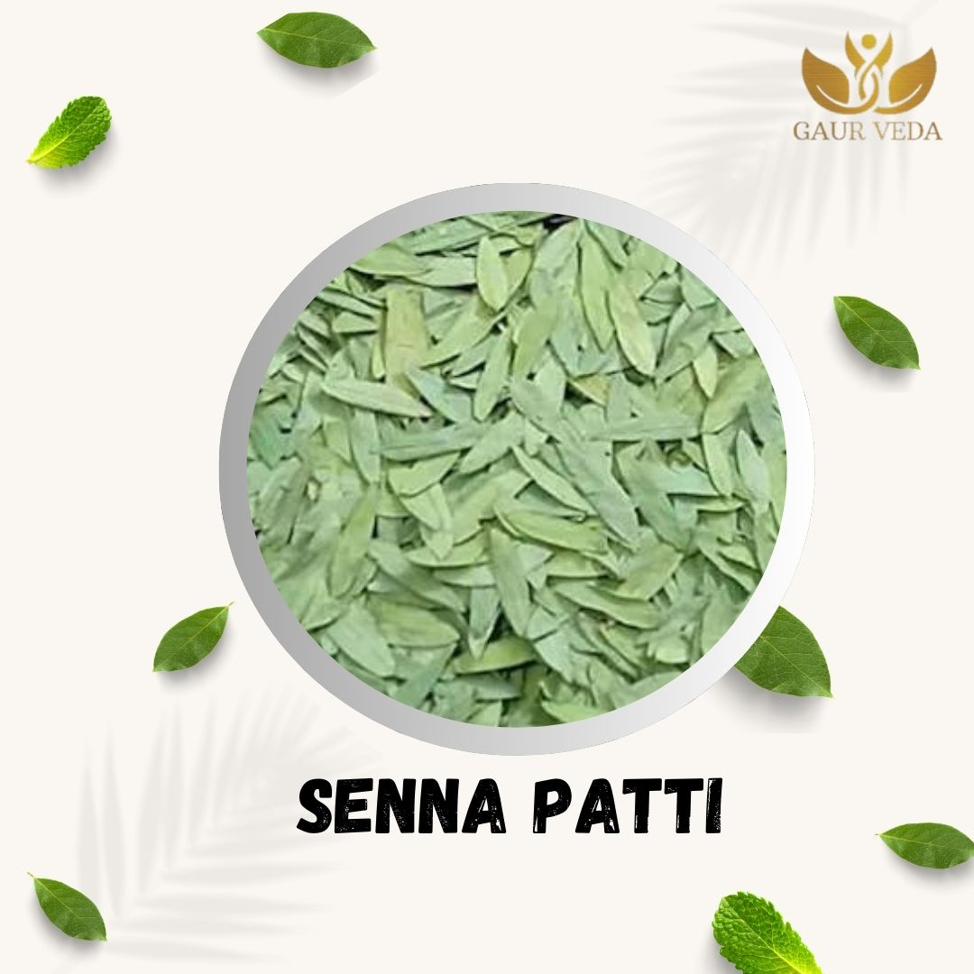 GAURVEDA Senna Patti 100% Natural & Pure | Traditional Ayurvedic Herb/Seed/Powder | Supports Wellness & Daily Health | Ideal for Herbal Remedies, 100 Grams