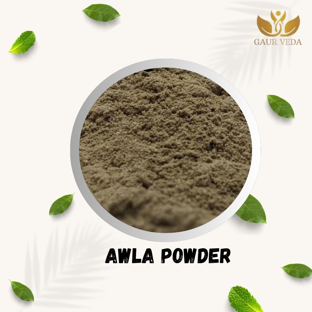 GAURVEDA Amla Whole Powder | Phyllanthus Emblica Powder | Indian Gooseberry Powder | Herbal Raw Material for, Decoctions and Herbal Formulations | Dried Churna (100 Grams)