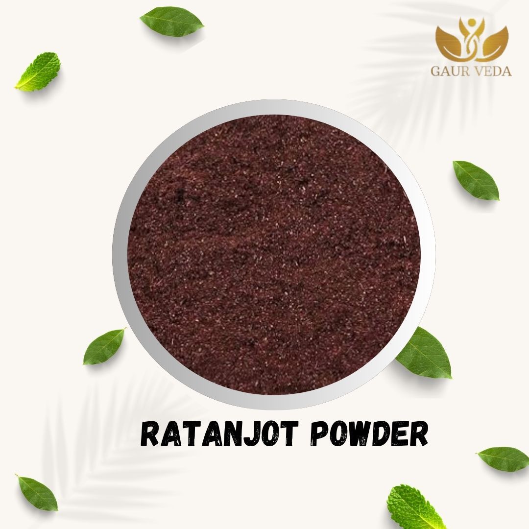 Gaurveda Ratanjot Root Powder - Alkanet Root Powder - Alkanna Tinctoria - A+ Quality (100 Grams)