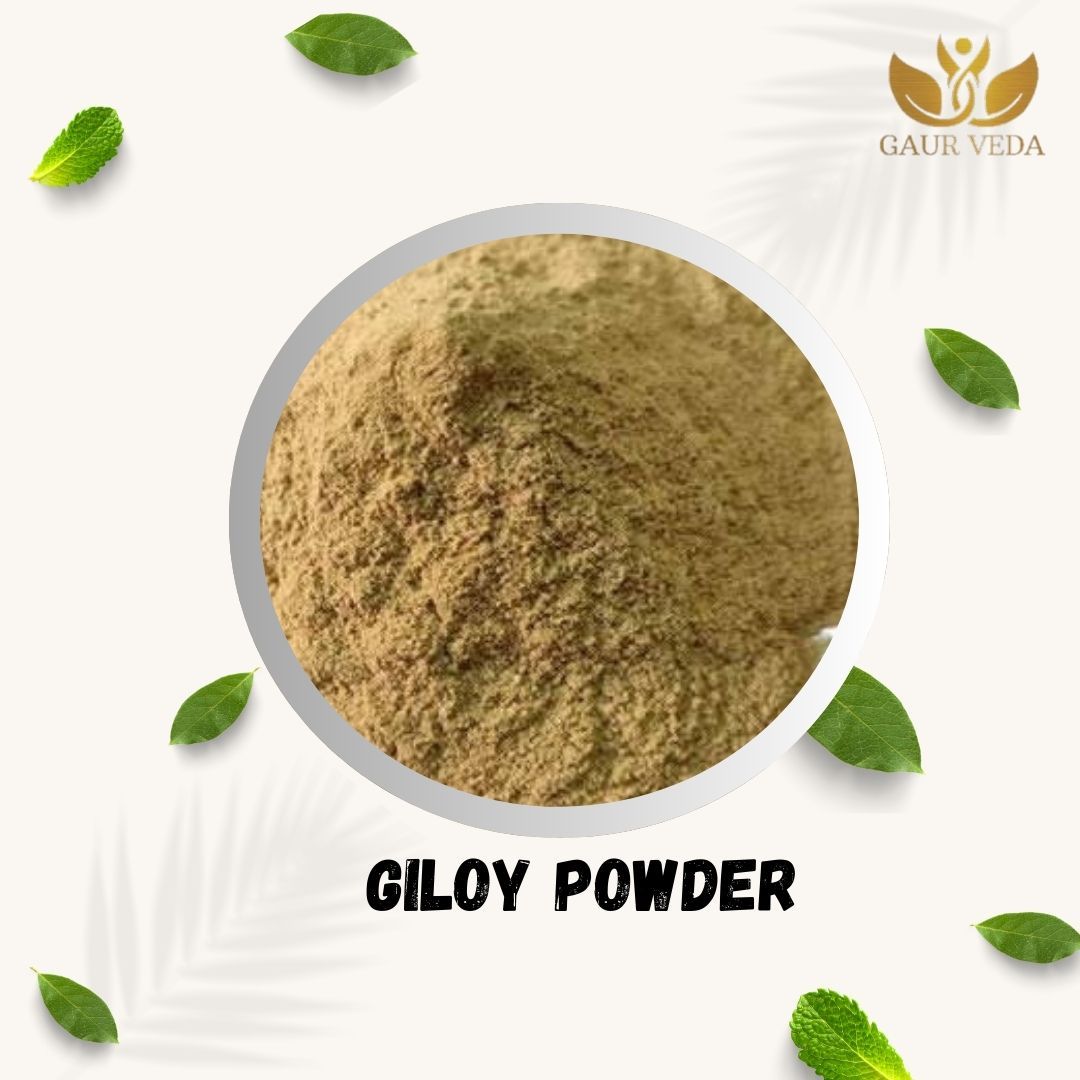 GAURVEDA Giloy Pdr. - Guduchi Pdr.- Gulvel Stem - Amruthavalli Podi - Tinospora Cordifolia (250)