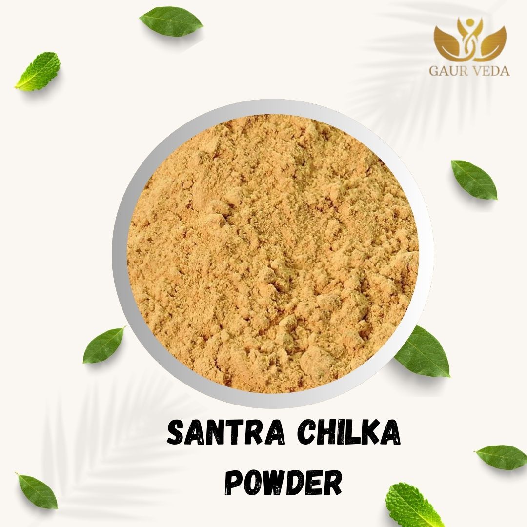 GAURVEDA Santra chilka Powder 100% Natural & Pure | Traditional Ayurvedic Herb/Seed/Powder | Supports Wellness & Daily Health | Ideal for Herbal Remedies, 100 Grams