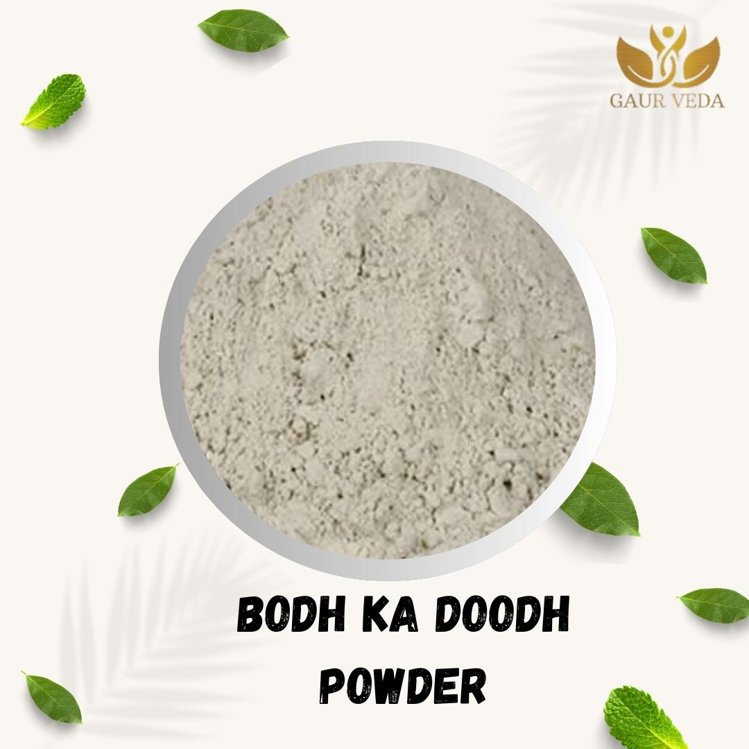 Gaurveda Badh ka doodh Powder | 60 Gram | Banyan (Bargad) doodh - Natural