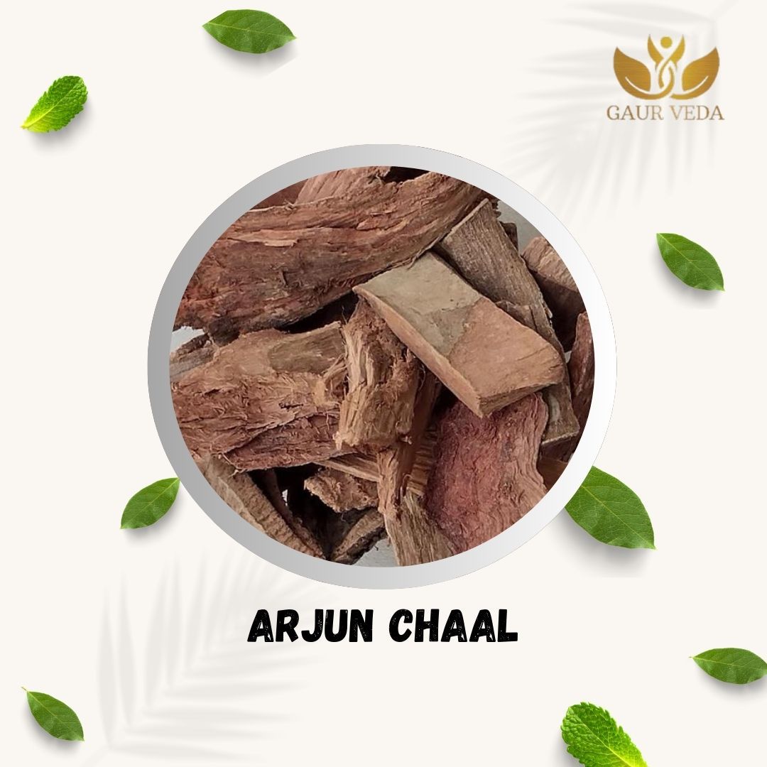 GAURVEDA Premium Arjun Chaal, Arjuna Bark, Terminalia arjuna, Pure & Natural (500 Grams)