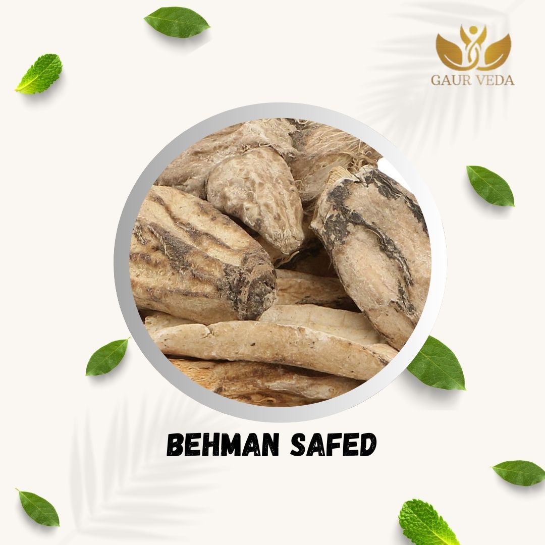 GAURVEDA Behman safed 100% Natural & Pure | Traditional Ayurvedic Herb/Seed/Powder | Supports Wellness & Daily Health | Ideal for Herbal Remedies, 500 Grams