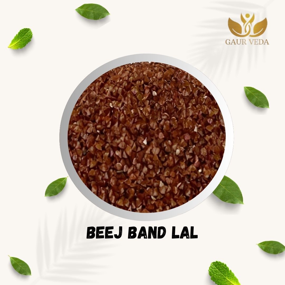 GAURVEDA Beej Band lal 100% Natural & Pure | Traditional Ayurvedic Herb/Seed/Powder | Supports Wellness & Daily Health | Ideal for Herbal Remedies, 100 Grams