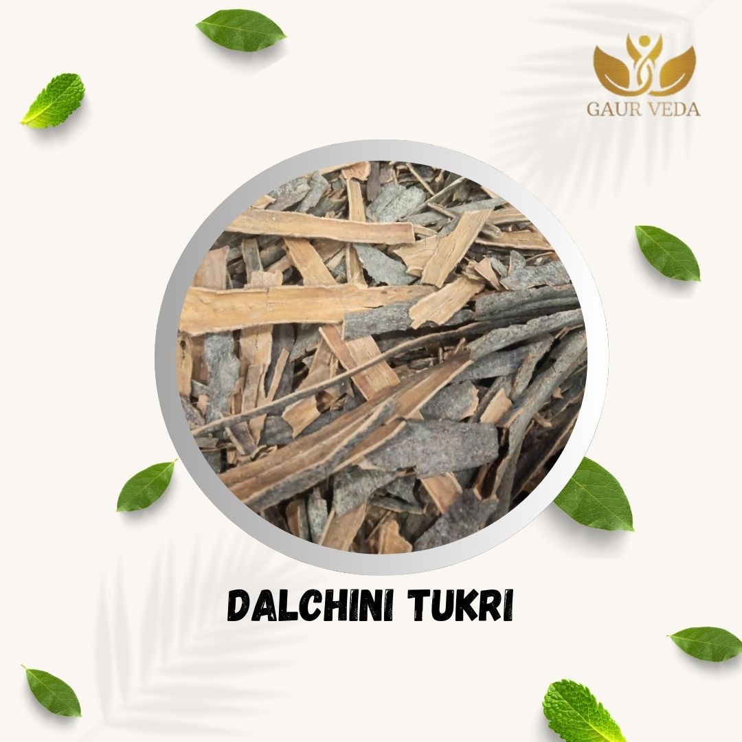GAURVEDA Dalchini Tukri (Cinnamon Bark Pieces)   Authentic Indian Spice, Aromatic Flavor, Perfect for Cooking & Tea, Fresh & Natural, Pantry Essential | 200 Grams