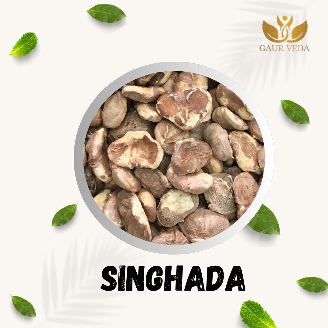 GAURVEDA Singada 100% Natural & Pure | Traditional Ayurvedic Herb/Seed/Powder | Supports Wellness & Daily Health | Ideal for Herbal Remedies, 100 Grams