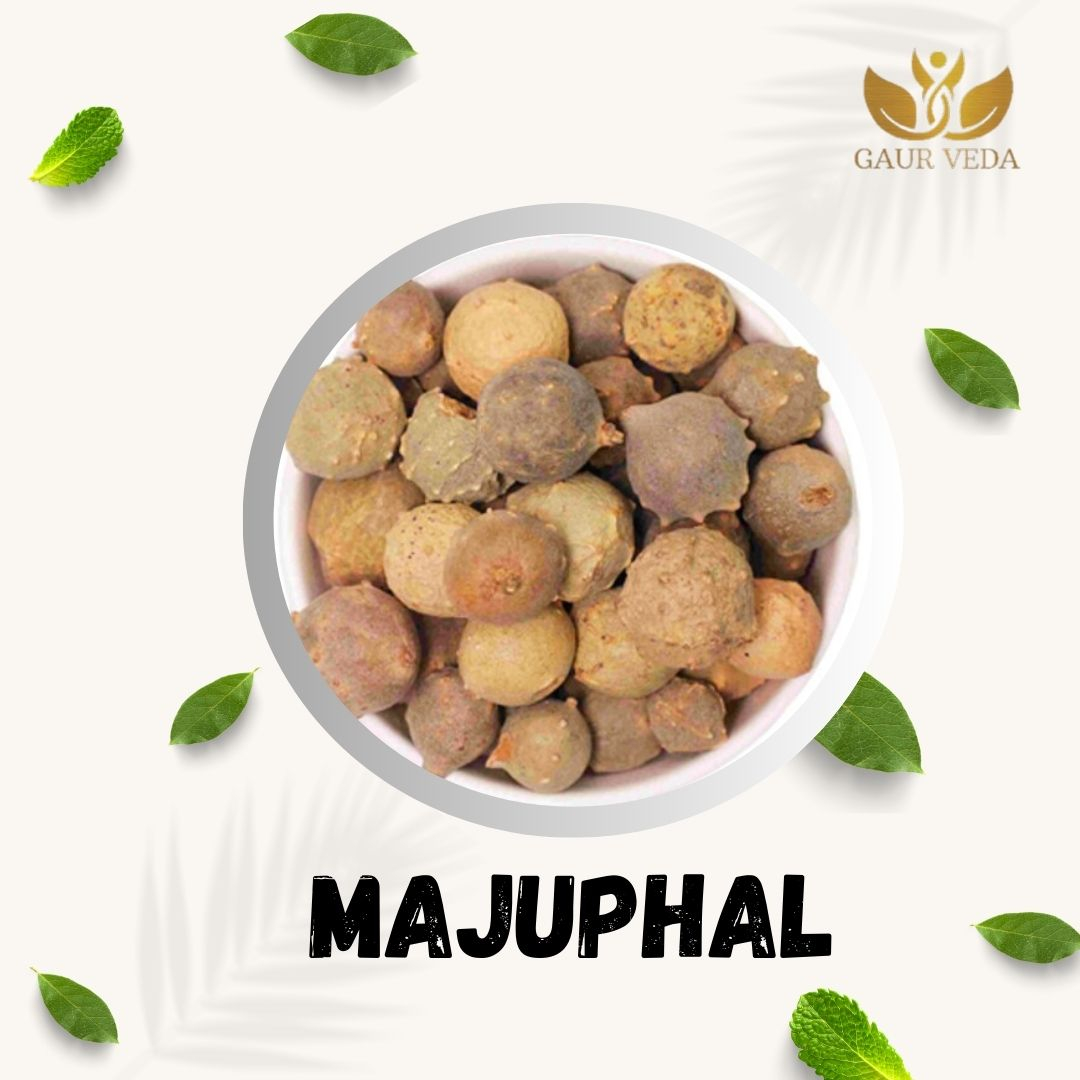 Gaurveda Majuphal - Manjakani - Quercus Infectoria Oliv - Dyer's Oak - Gall Nuts - Pure & Natural (100 Grams)