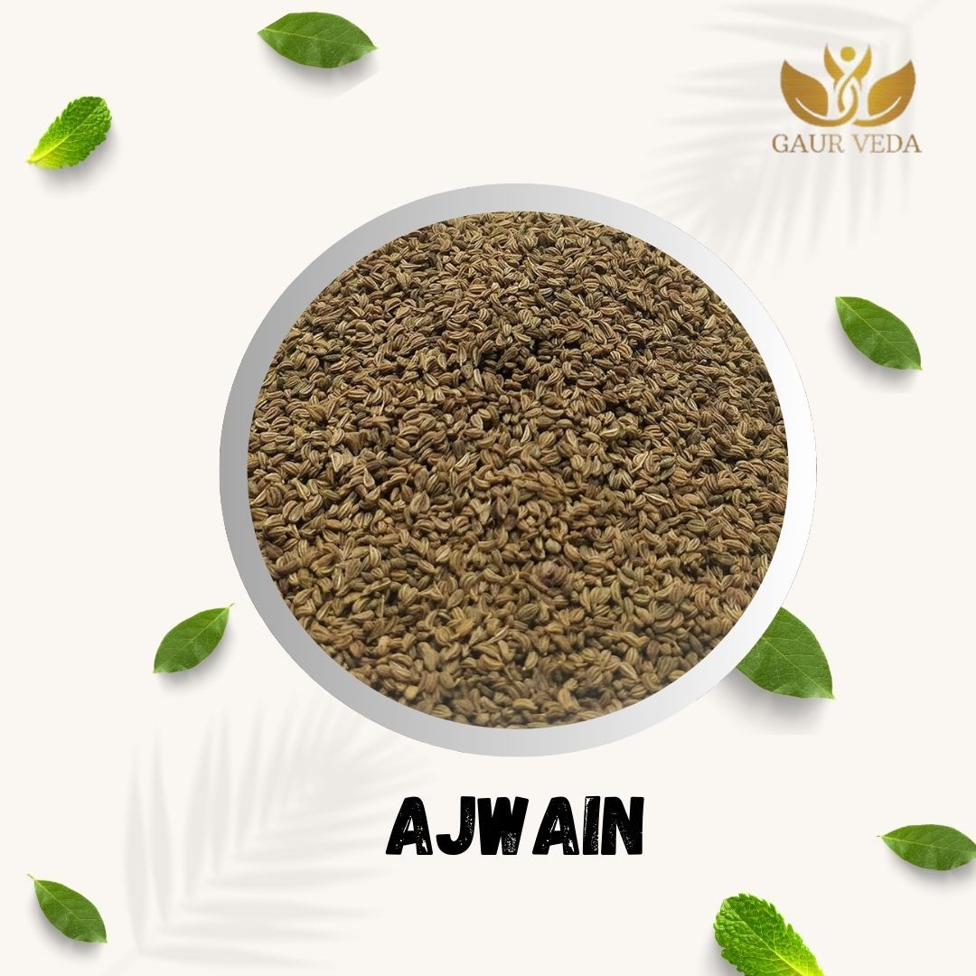 GAURVEDA Ajwain Seeds  - Carom Seeds for Authentic Indian Cooking | Fresh, Aromatic & Flavorful Spice | Perfect for Tadka & Digestive Aid | 1000 Grams