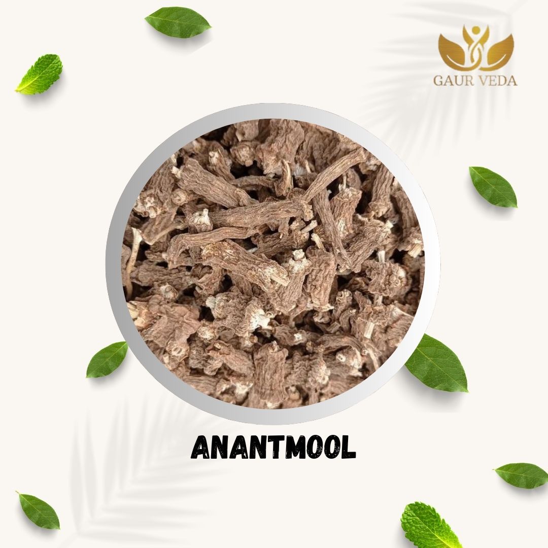 GAURVEDA Anantmool 100% Natural & Pure | Traditional Ayurvedic Herb/Seed/Powder | Supports Wellness & Daily Health | Ideal for Herbal Remedies, 100 Grams