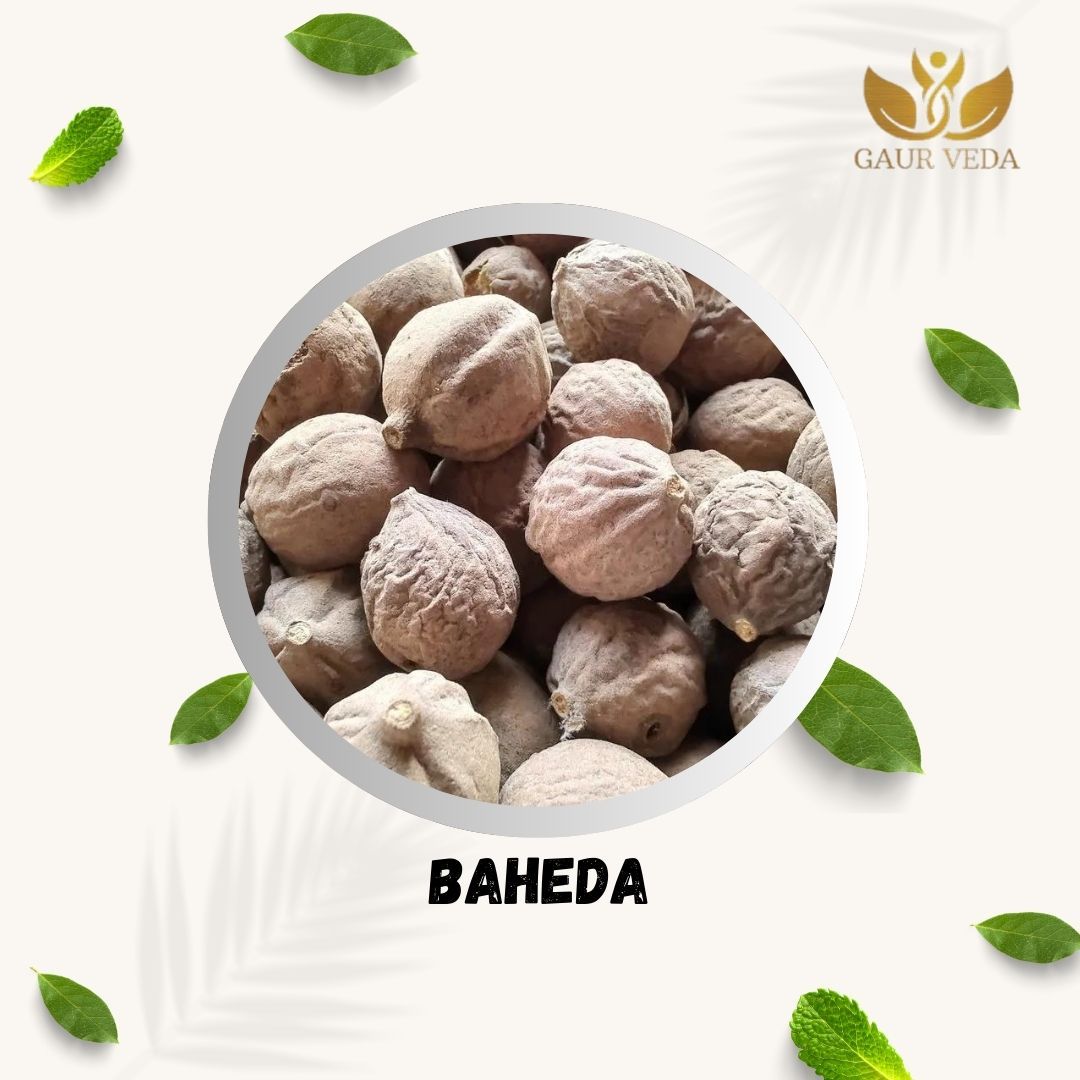 GAURVEDA Baheda 100% Natural & Pure | Traditional Ayurvedic Herb/Seed/Powder | Supports Wellness & Daily Health | Ideal for Herbal Remedies, 1000 Grams