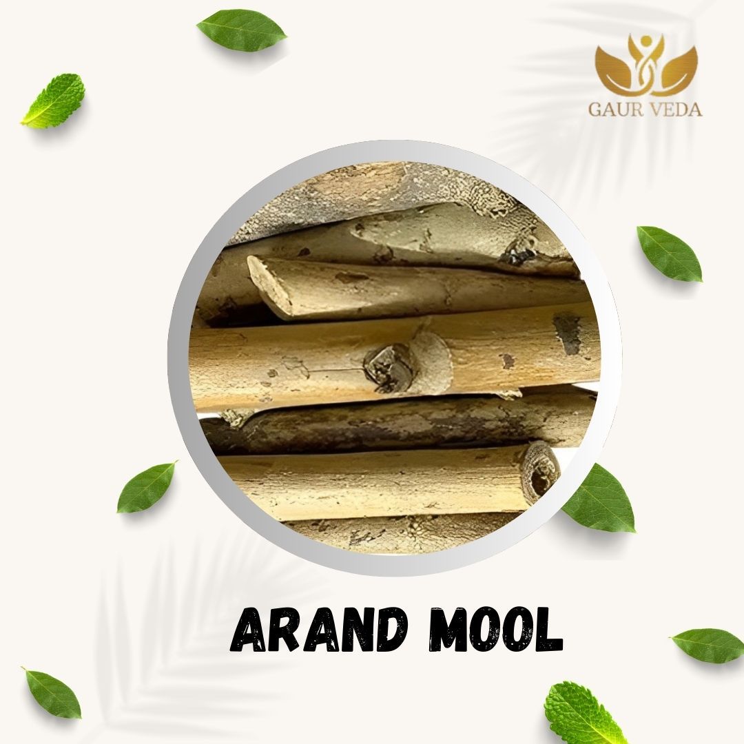 GAURVEDA Arand mool 100% Natural & Pure | Traditional Ayurvedic Herb/Seed/Powder | Supports Wellness & Daily Health | Ideal for Herbal Remedies, 100 Grams
