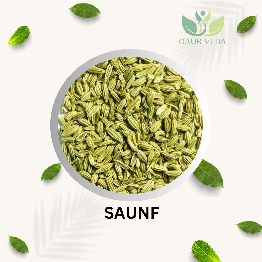 GAURVEDA Saunf (Fennel Seeds) | Mouth Freshener | Natural Digestive Aid | Fresh & Aromatic Spice for Cooking & Tea | 100 Grams