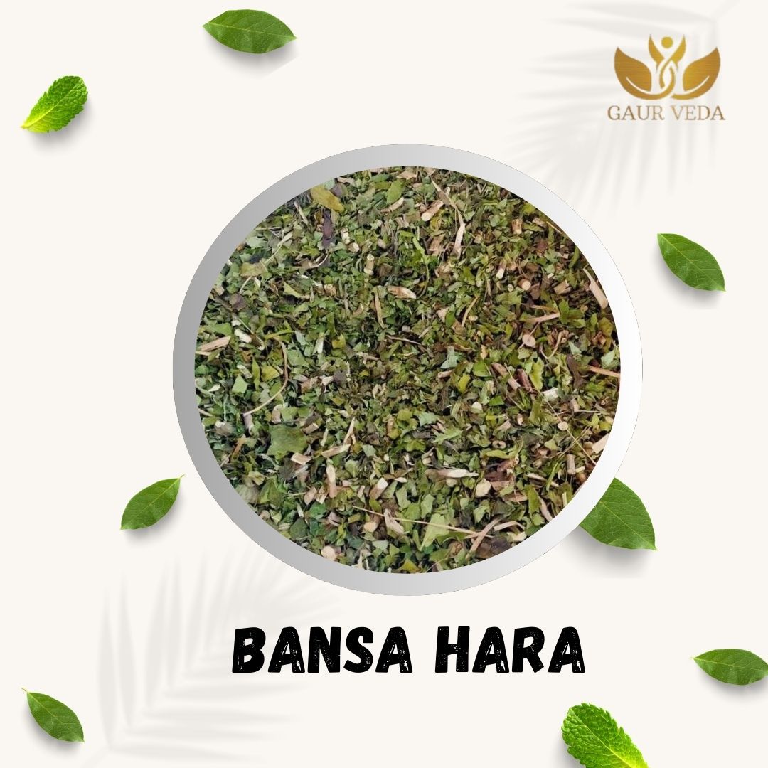 GAURVEDA Bansa Hara 100% Natural & Pure | Traditional Ayurvedic Herb/Seed/Powder | Supports Wellness & Daily Health | Ideal for Herbal Remedies, 100 Grams