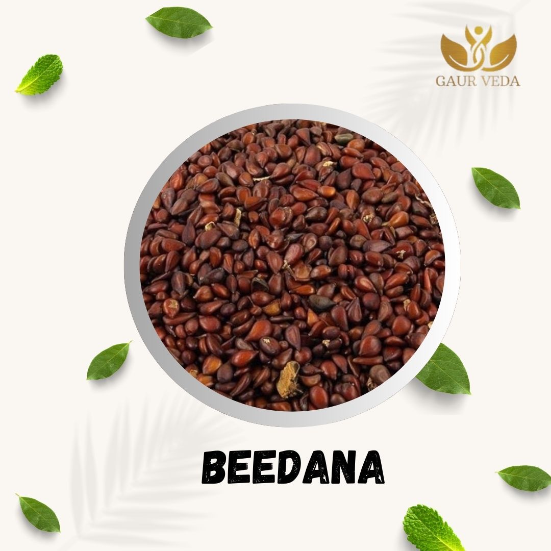 Gaurveda Beedana Raw- Bidana - Bahee Dana - Pyrus Cydonia - Quince Beej - Pure & Natural (100 Grams)