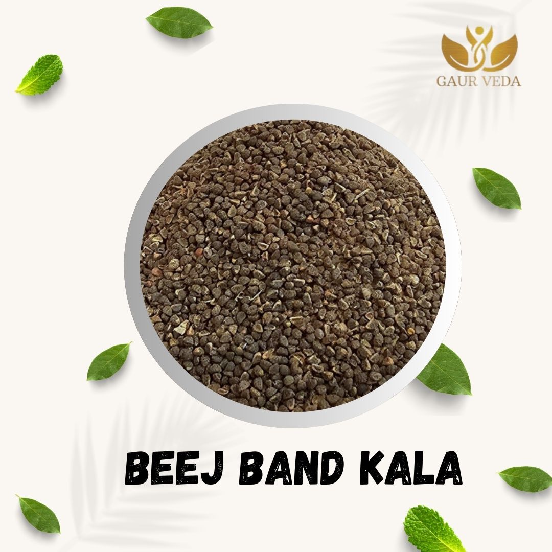 GAURVEDA Beej Band Kala 100% Natural & Pure | Traditional Ayurvedic Herb/Seed/Powder | Supports Wellness & Daily Health | Ideal for Herbal Remedies, 100 Grams