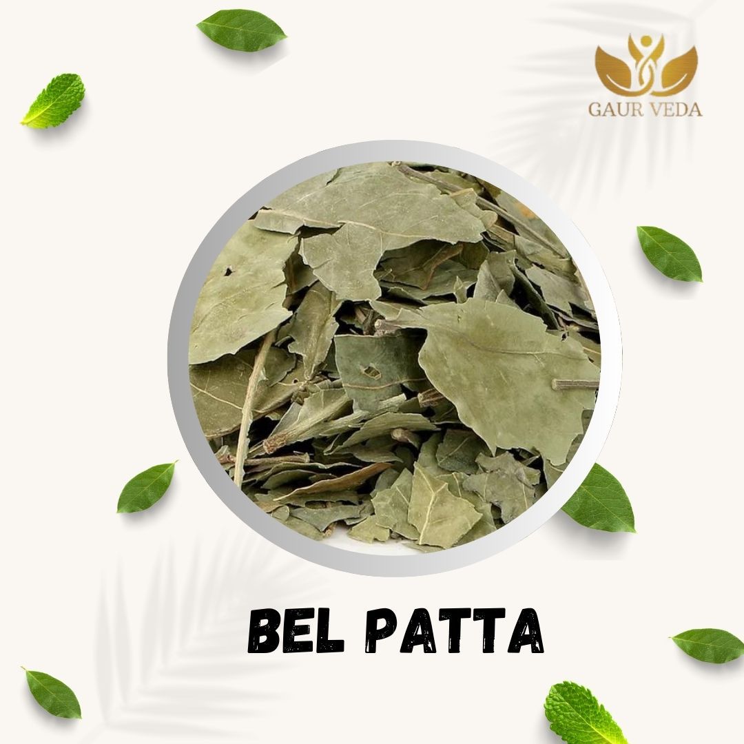 GAURVEDA Bel Patta Whole Leaves | Aegle Marmelos Leaves | Bael Patra | Herbal Raw Material for and Herbal Applications | Dried Botanical Ingredient (100 Grams)