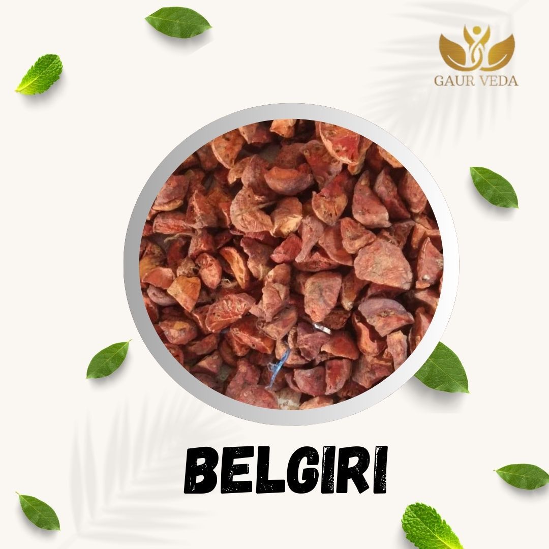 GAURVEDA Belgiri Whole Fruit | Aegle Marmelos Fruit | Bael Fruit | Herbal Raw Material for and Herbal Applications | Dried Botanical Ingredient (100 Grams)