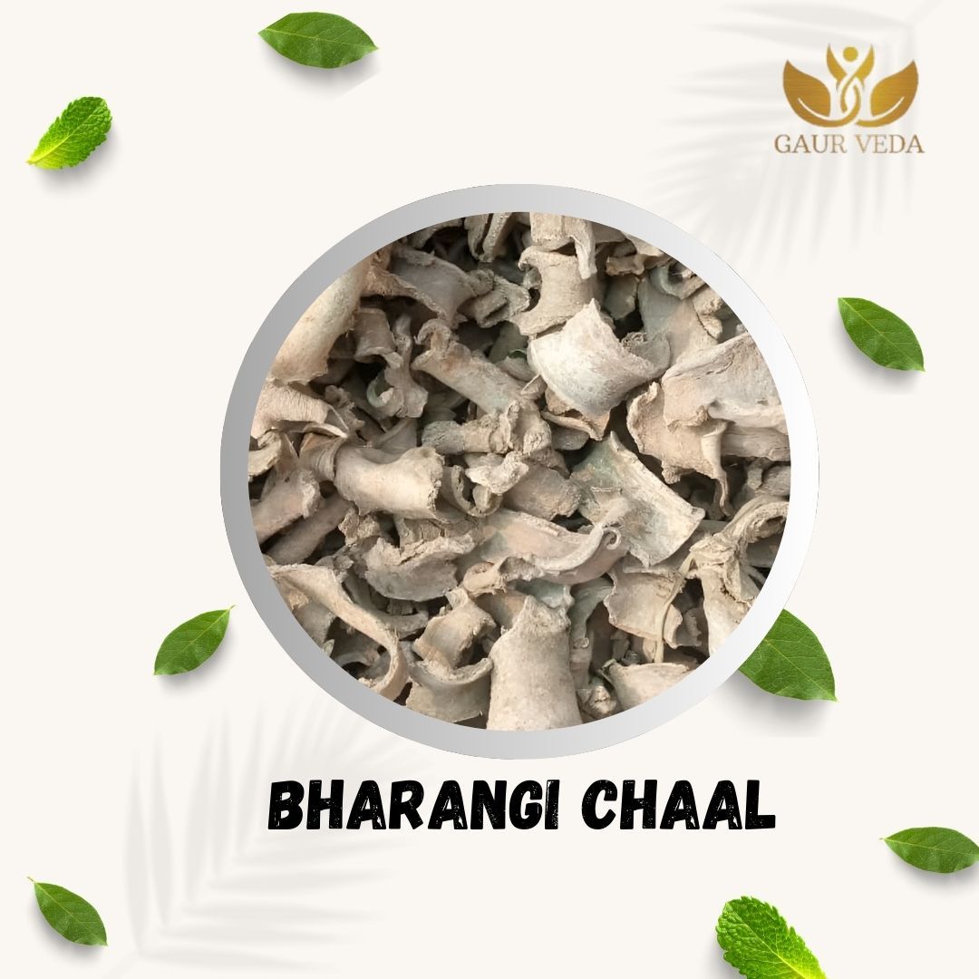 Gaurveda Bharangi Chhal - Baranghi Chaal - Bhadangi Bark - Clerodendrun Serratum - Natural (100)
