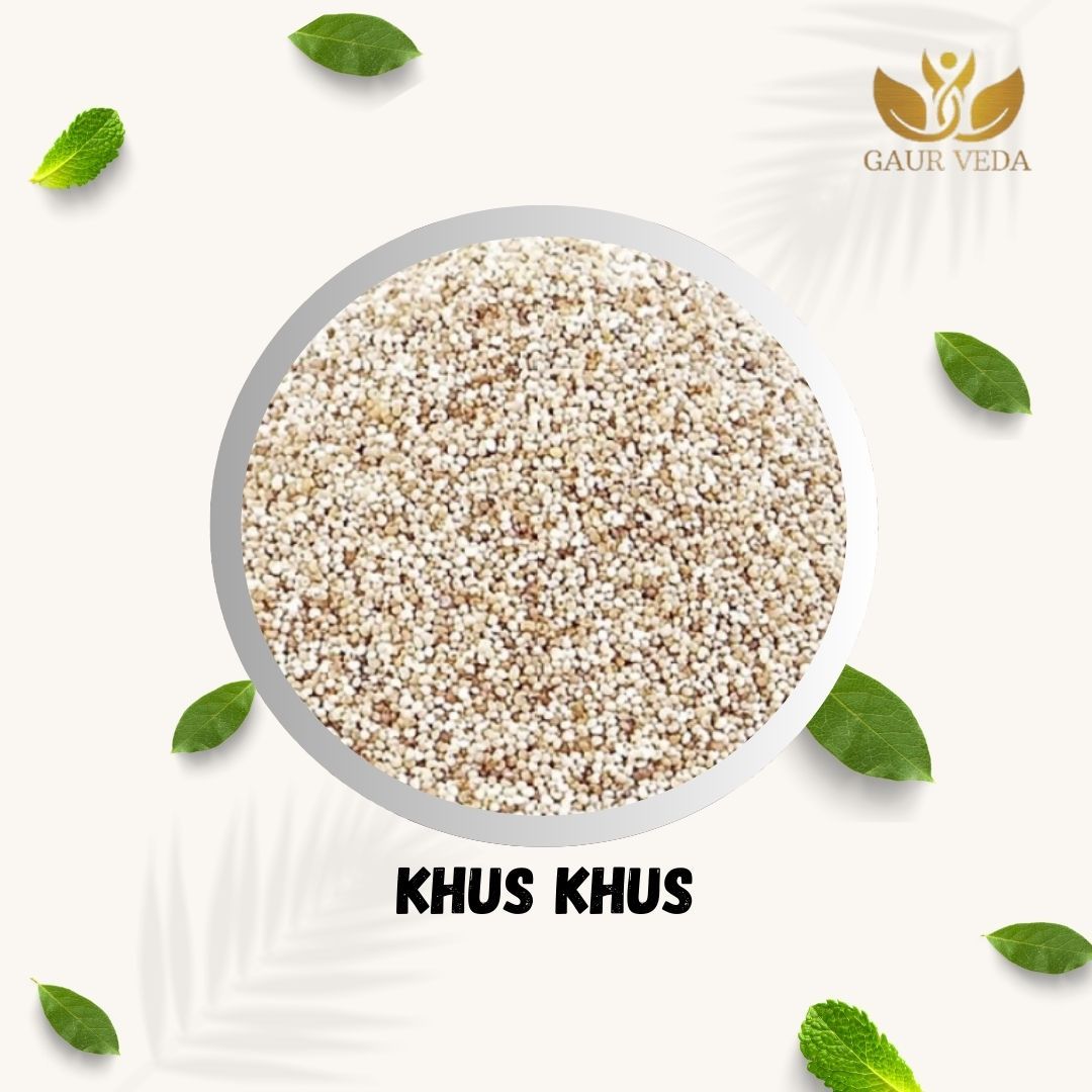 GAURVEDA Khus Khus Seeds (Poppy Seeds) -, Natural & Fresh - Perfect for Cooking, Baking, Desserts & Traditional Indian Recipes | 100 Grams