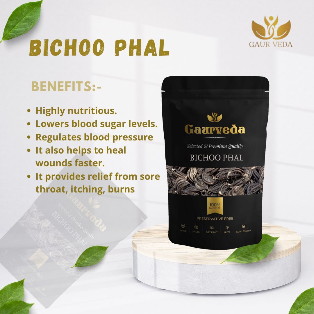 GAURVEDA Bichoo Phal Whole Fruit | Scindapsus Officinalis | Gajpippali Fruit | Herbal Raw Material for and Herbal Applications | Dried Botanical Ingredient (100 Grams)