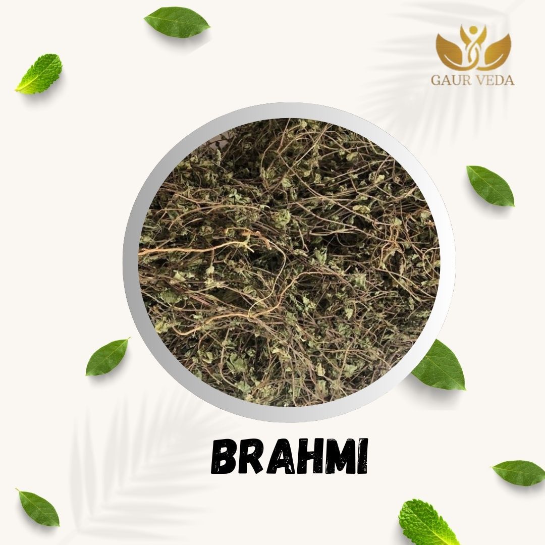GAURVEDA Brahmi 100% Natural & Pure | Traditional Ayurvedic Herb/Seed/Powder | Supports Wellness & Daily Health | Ideal for Herbal Remedies, 100 Grams