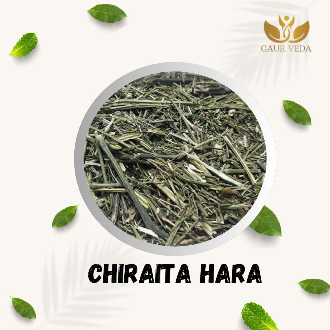 GAURVEDA Kalmegh 100% Natural & Pure | Traditional Ayurvedic Herb/Seed/Powder | Supports Wellness & Daily Health | Ideal for Herbal Remedies, 100 Grams