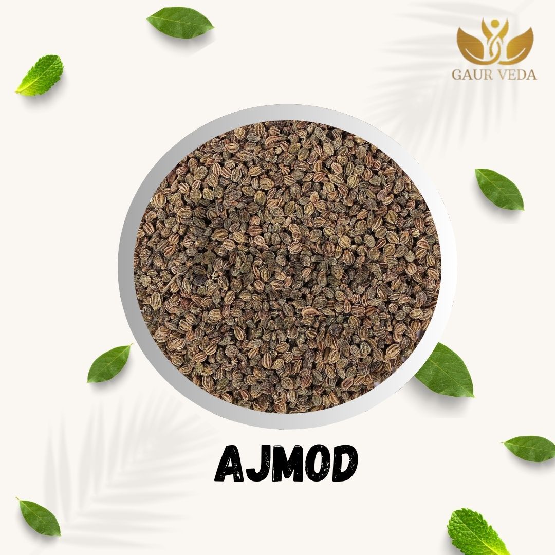 GAURVEDA Ajmod 100% Natural & Pure | Traditional Ayurvedic Herb/Seed/Powder | Supports Wellness & Daily Health | Ideal for Herbal Remedies, 100 Grams