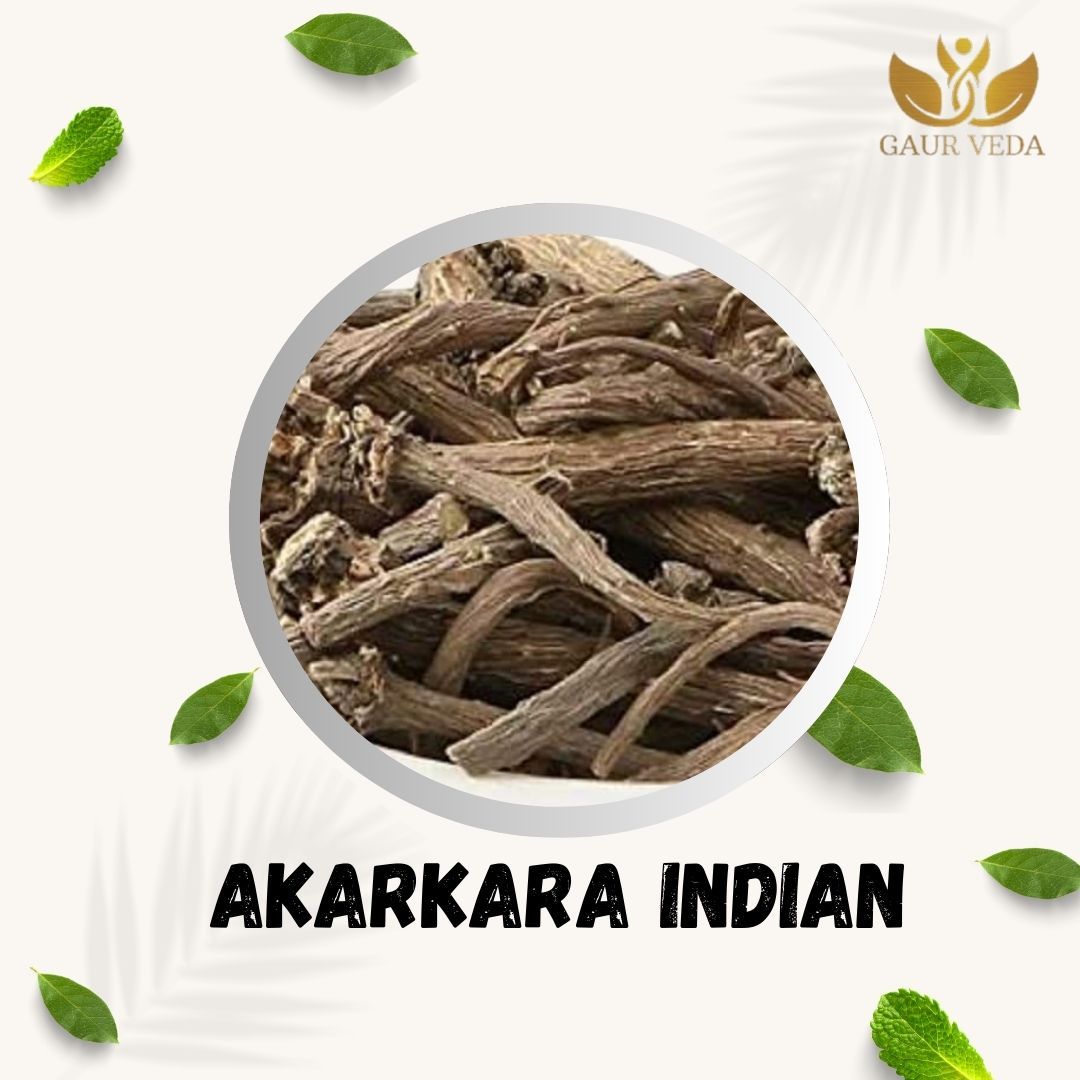 GAURVEDA Akarkara 100% Natural & Pure | Traditional Ayurvedic Herb/Seed/Powder | Supports Wellness & Daily Health | Ideal for Herbal Remedies, 100 Grams