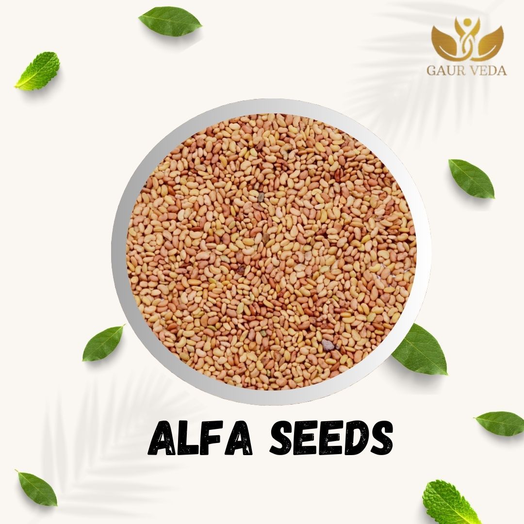 GAURVEDA Alfa Seed 100% Natural & Pure | Traditional Ayurvedic Herb/Seed/Powder | Supports Wellness & Daily Health | Ideal for Herbal Remedies, 100 Grams