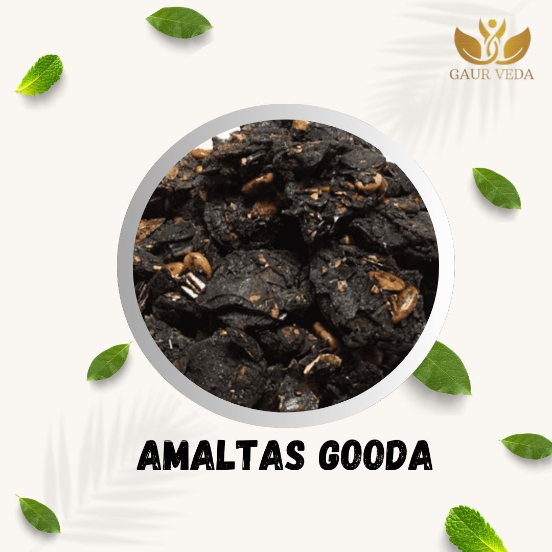 GAURVEDA Amaltas Gooda | Cassia Fistula Pulp | Golden Shower Tree Pulp | Herbal Raw Material for Traditional and Herbal Formulations | Dried Botanical Ingredient (100 Grams)
