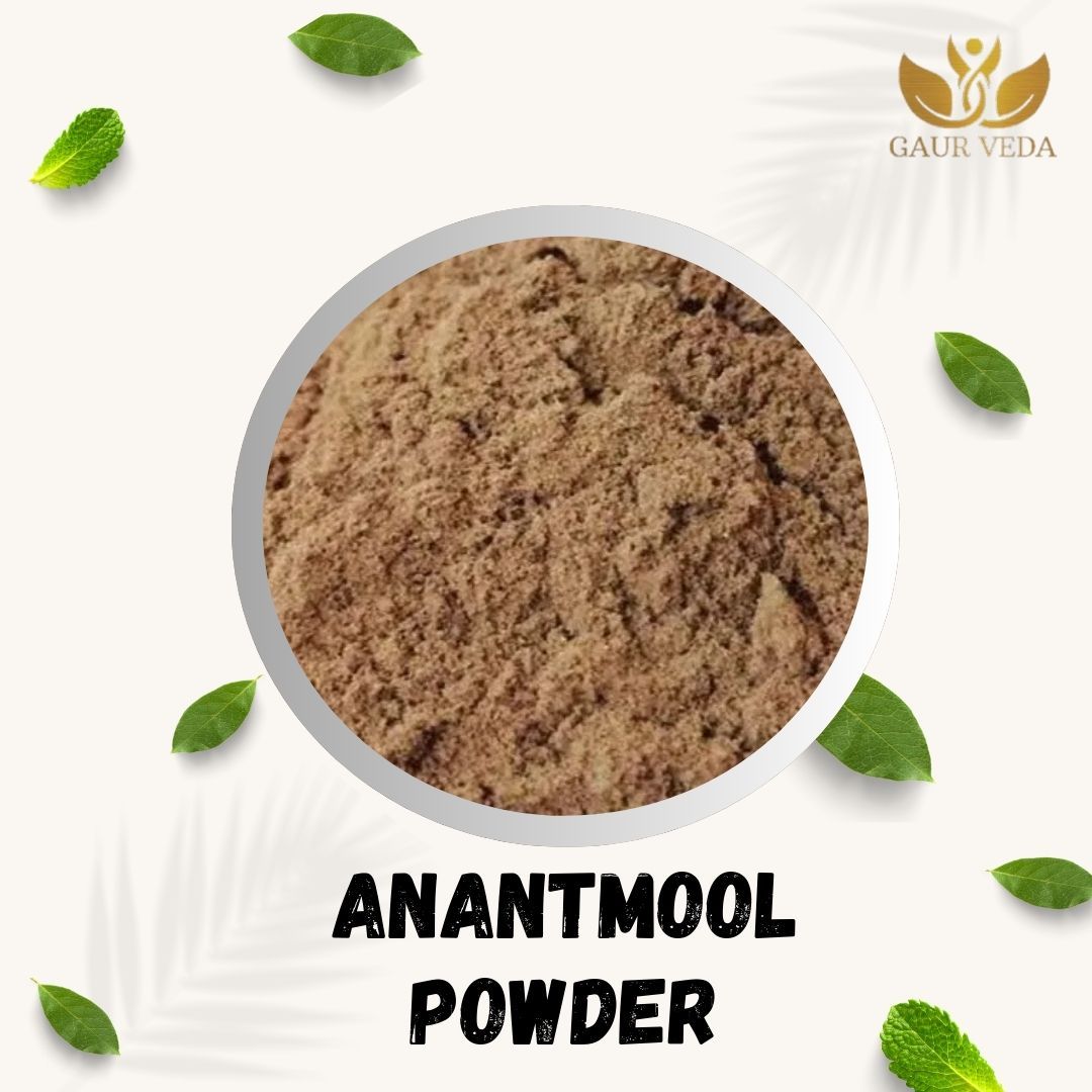 GAURVEDA Anantmool Powder 100% Natural & Pure | Traditional Ayurvedic Herb/Seed/Powder | Supports Wellness & Daily Health | Ideal for Herbal Remedies, 100 Grams