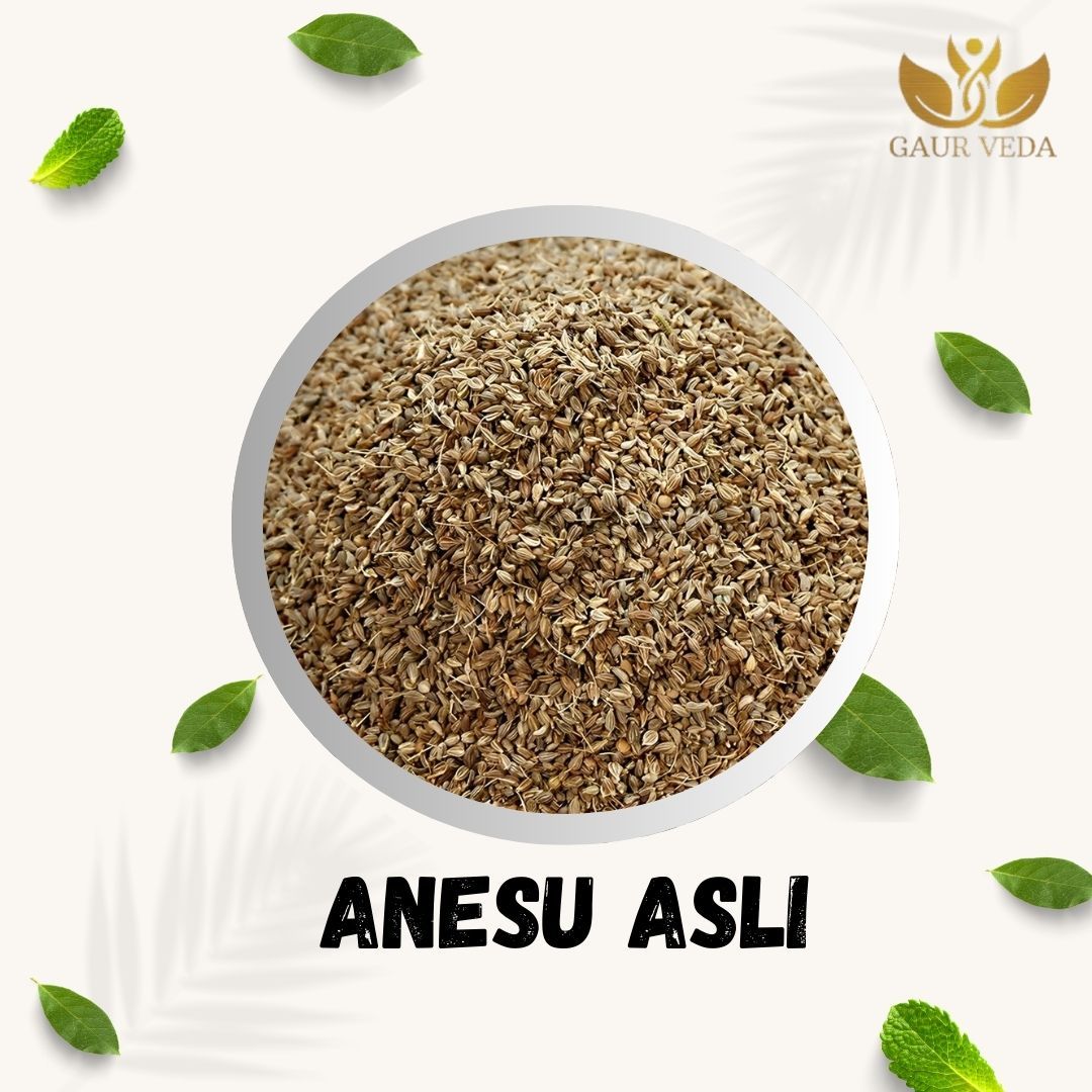 GAURVEDA Anesu asli 100% Natural & Pure | Traditional Ayurvedic Herb/Seed/Powder | Supports Wellness & Daily Health | Ideal for Herbal Remedies, 100 Grams