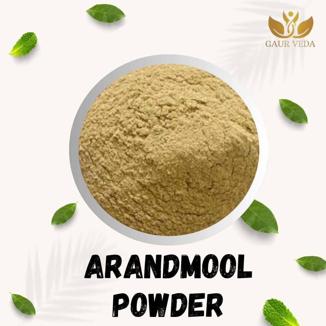GAURVEDA Arand mool Powder 100% Natural & Pure | Traditional Ayurvedic Herb/Seed/Powder | Supports Wellness & Daily Health | Ideal for Herbal Remedies, 100 Grams