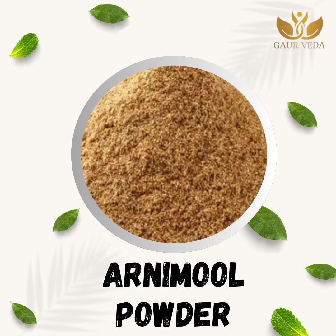 GAURVEDA Arni Mool Powder | Clerodendrum Phlomidis Root Powder | Arani Root Churna | Herbal Raw Material for and Herbal Formulations | Dried Botanical Churna (100 Grams)