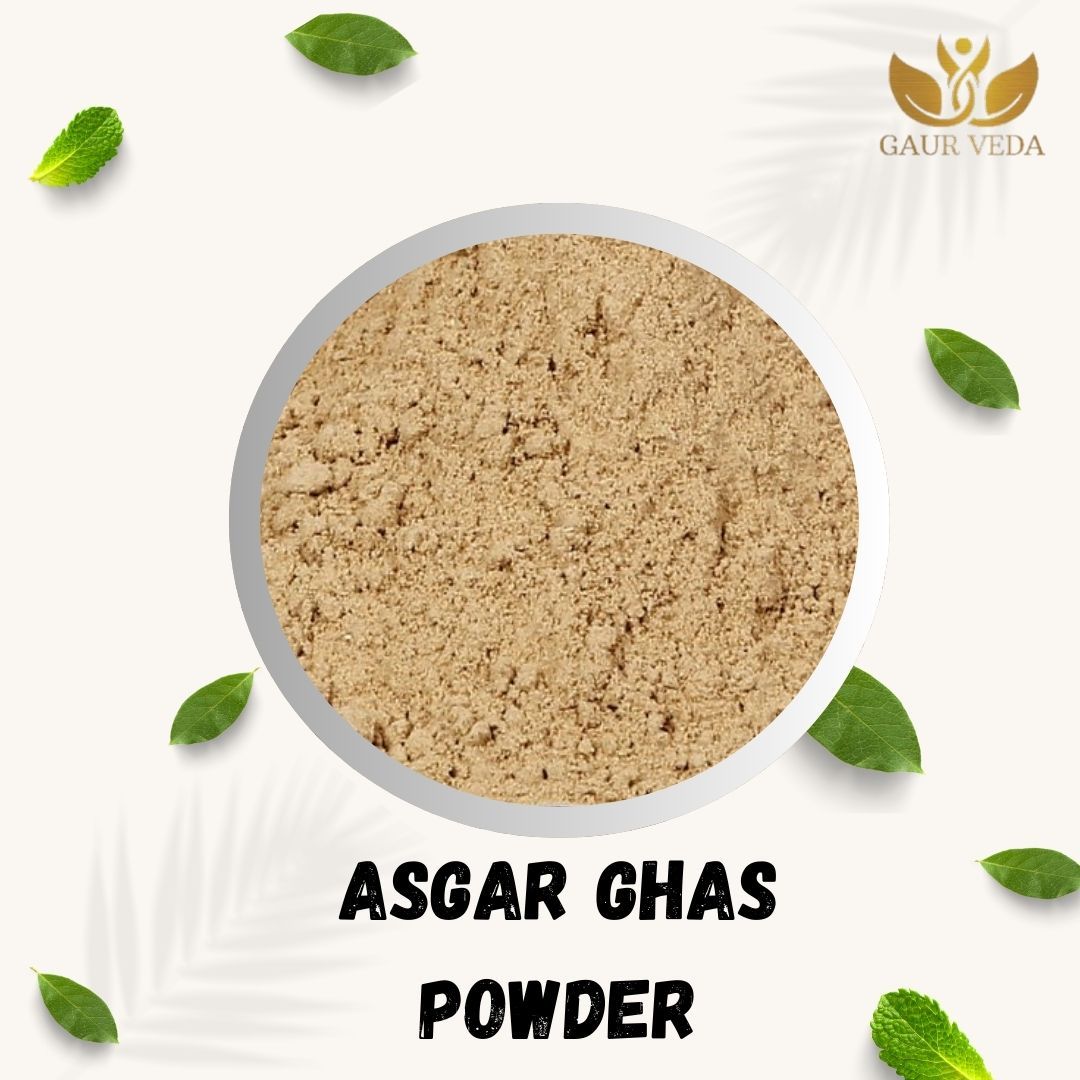 GAURVEDA Asgar Ghas Powder | Saccharum Spontaneum Powder | Kans Grass Churna | Herbal Raw Material for Traditional Uses and Ayurvedic Formulations | Fine Dried Botanical Powder (100 Grams)
