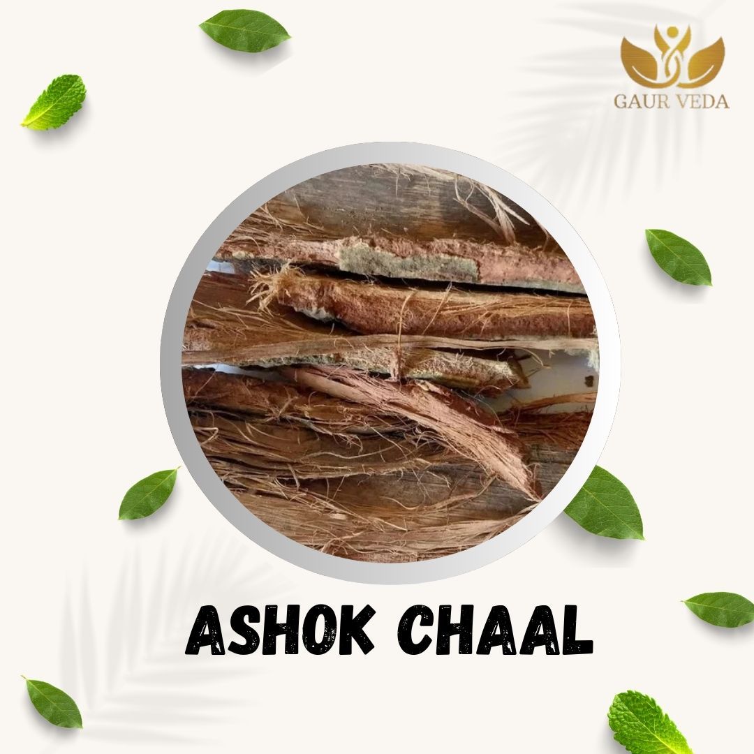 GAURVEDA Ashok chaal 100% Natural & Pure | Traditional Ayurvedic Herb/Seed/Powder | Supports Wellness & Daily Health | Ideal for Herbal Remedies, 100 Grams