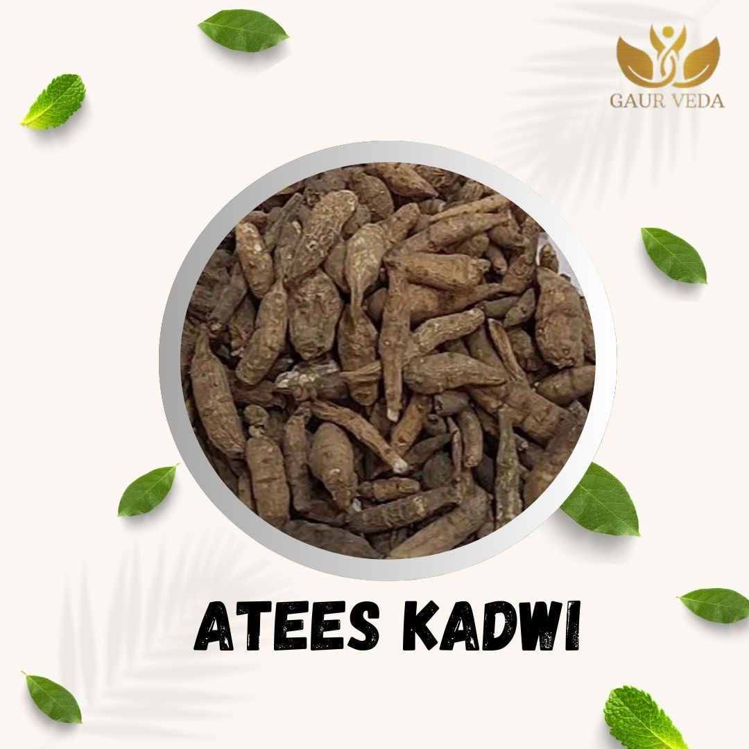 GAURVEDA Atees Kadwi Roots | Aconitum Heterophyllum Bitter Root | Ativisha Kadvi | Herbal Raw Material for and Traditional Uses | Dried Botanical Ingredient (10 Grams)