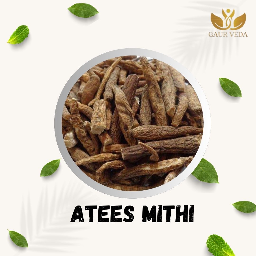 GAURVEDA Atees Meethi Roots | Aconitum Heterophyllum Sweet Root | Ativisha Meethi | Herbal Raw Material for and Traditional Uses | Dried Botanical Ingredient (100 Grams)