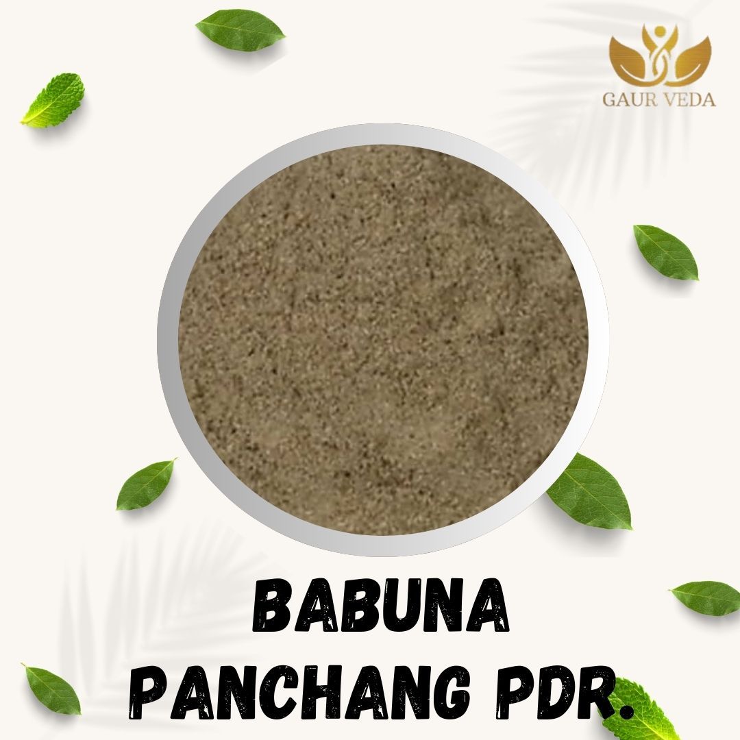 GAURVEDA Babuna Panchang Powder | Matricaria Chamomilla Panchang Powder | Chamomile Panchang Churna | Herbal Raw Material for and Herbal Formulations | Dried Churna (100 Grams)